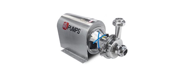 Double Mechanical seal Pump